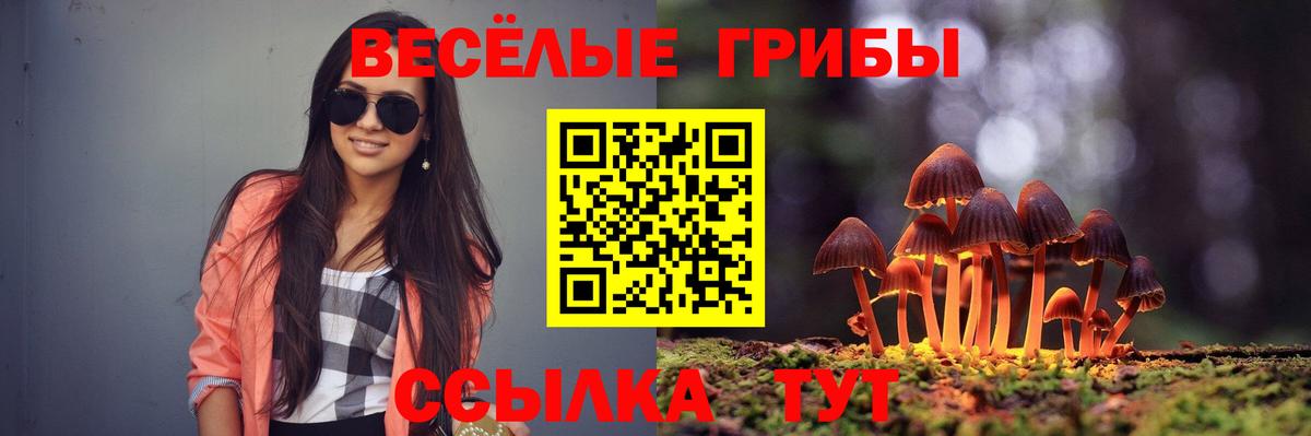 Галлюциногенные грибы Cubensis  Вход с VPN  как найти наркотики  Шелехов 